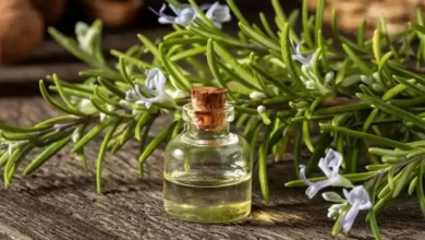 روغن رزماری