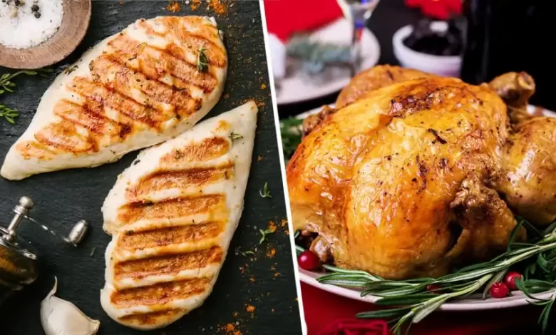 مرغ یا بوقلمون