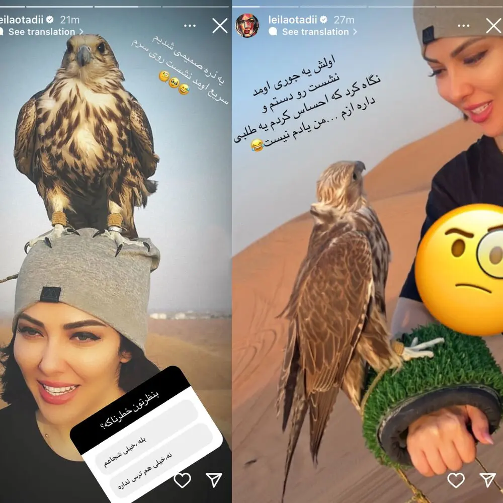 حبیب لیسانسه ها