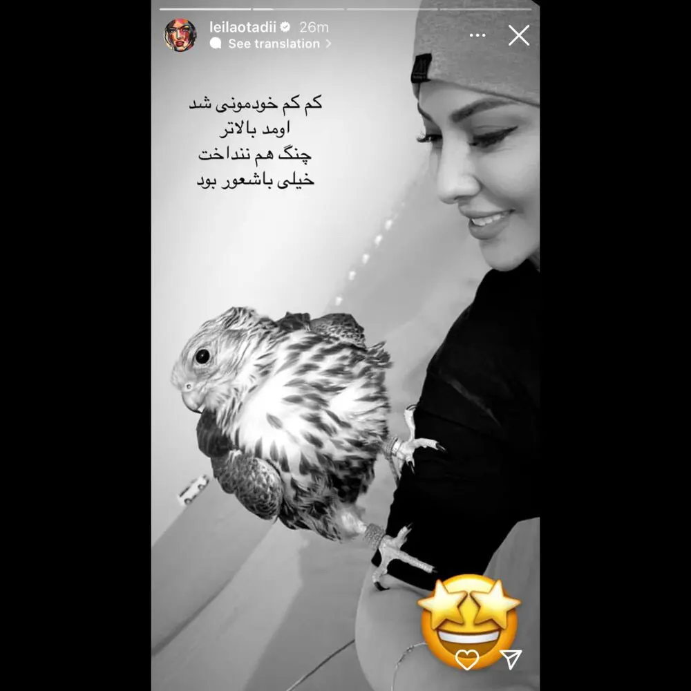 حبیب لیسانسه ها