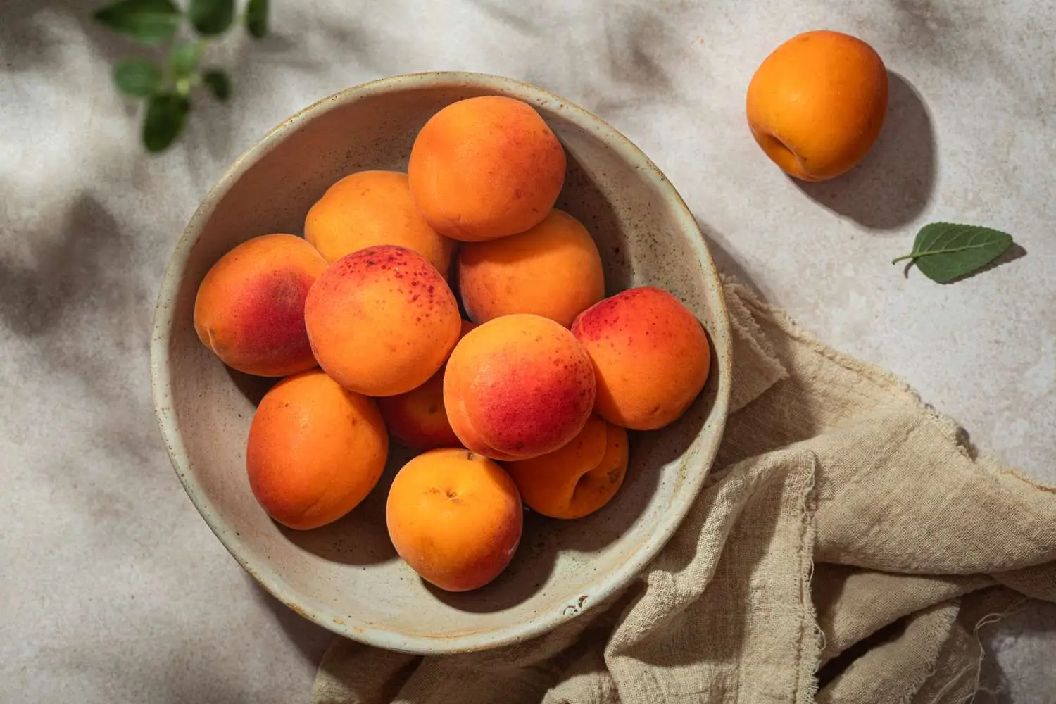 Apricot