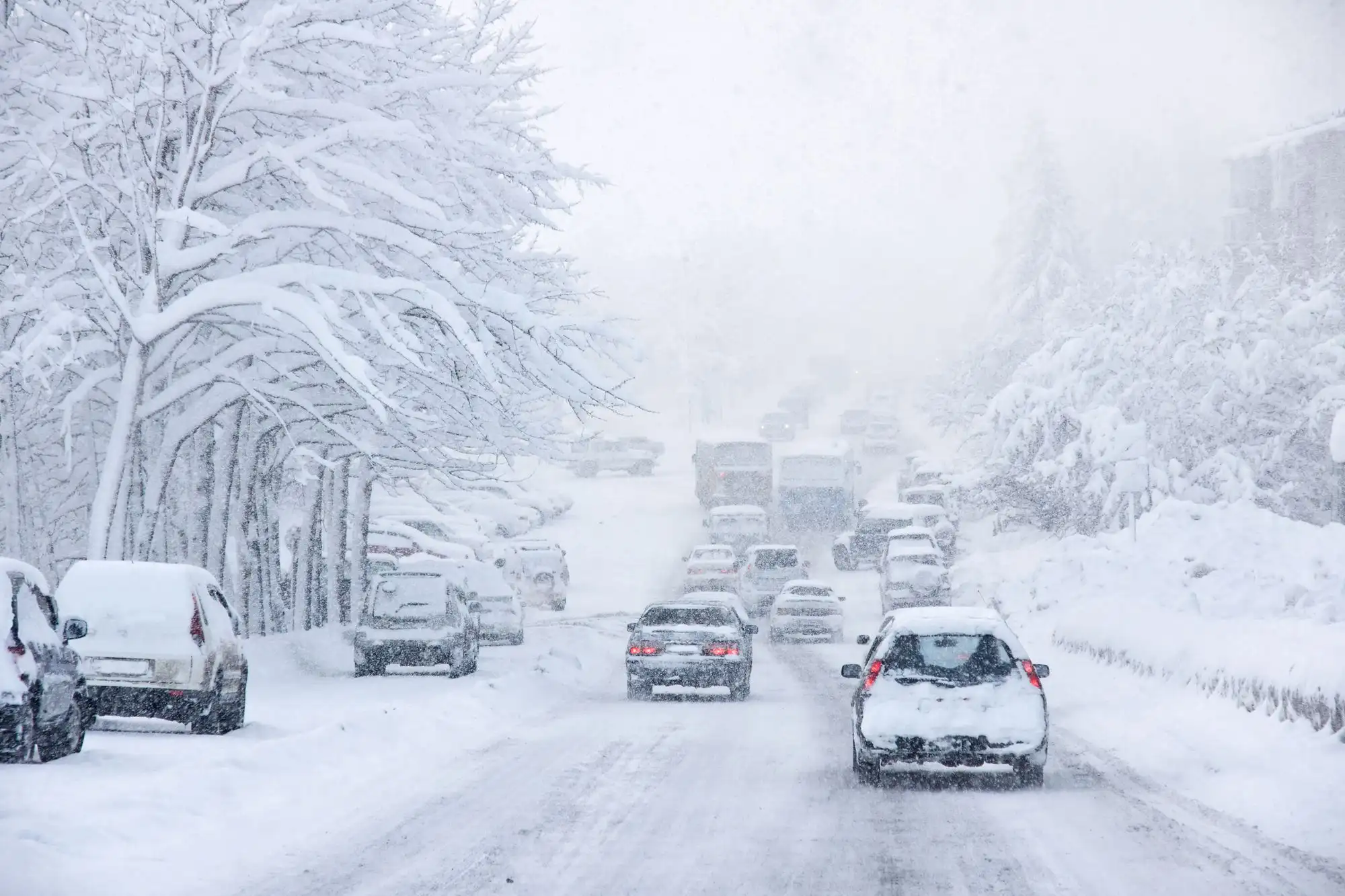 Driving in the snow