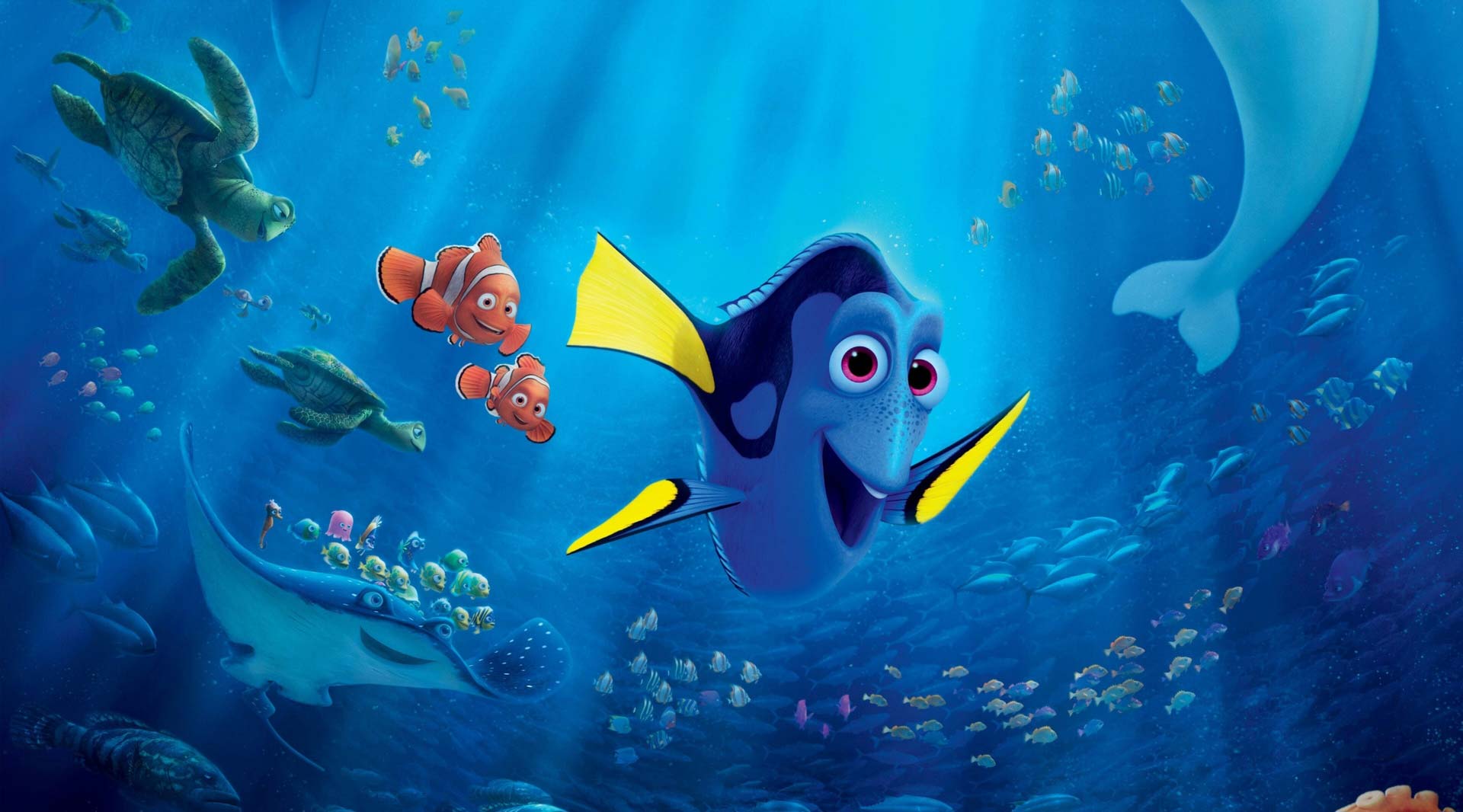 finding nemo dory clown fish in sea