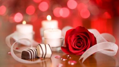 صادرات گل ترکیه