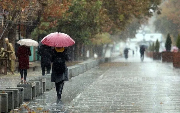 این استان ها از شنبه بارانی می‌شوند