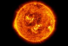 ماشین حساب انسانی