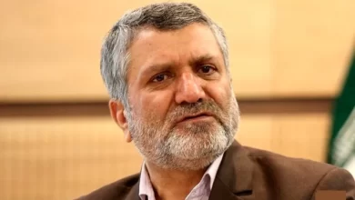 صولت مرتضوی