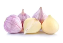 موسیر