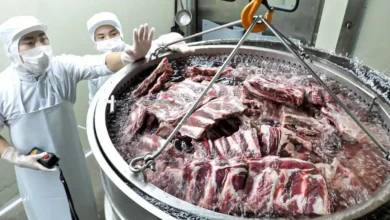 پخت و بسته بندی هزاران کیلو دنده گاو