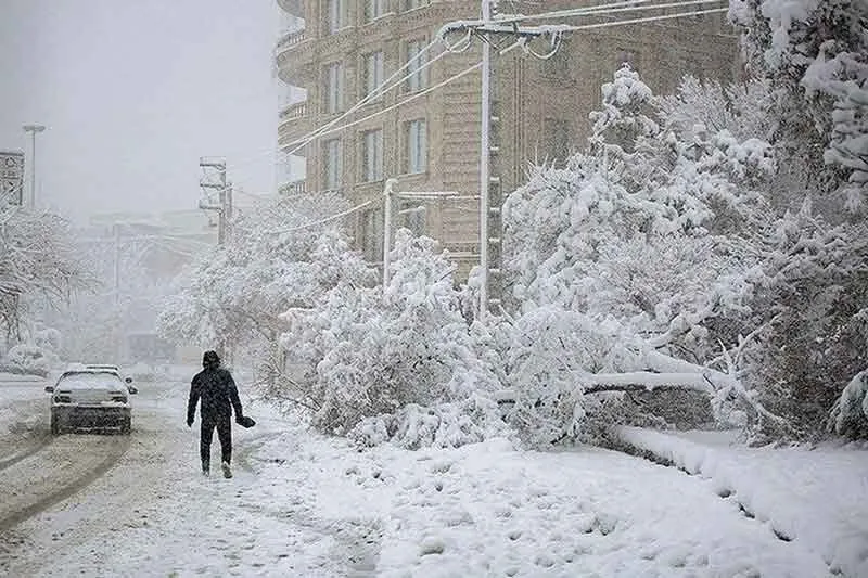 آزمون دکتری