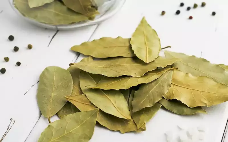 ماسک کدو