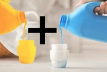 ترکیب شونده ها