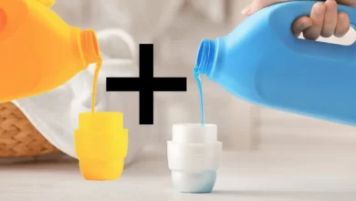 ترکیب شونده ها
