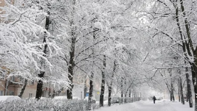 بارش برف نوروزی