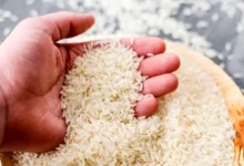 برنج ایرانی