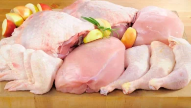 ماهیچه بوقلمون