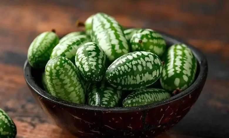 روغن حنظل