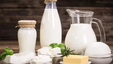 شیر و لبنیات