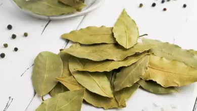 کبد چرب
