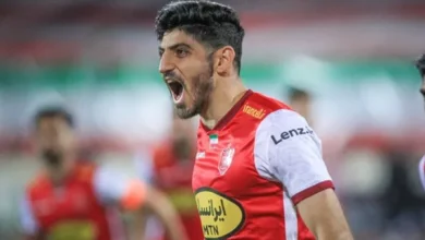 مهدی ترابی
