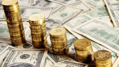 نرخ طلا و ارز در بازار استانبول