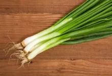 خواص درمانی پیازچه برای سلامت قلب و تقویت استخوانها 4 پیازچه