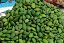 لواشک چاقاله بادام