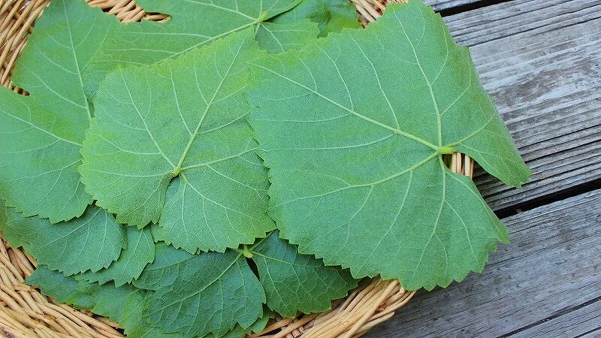 سرطان پانکراس