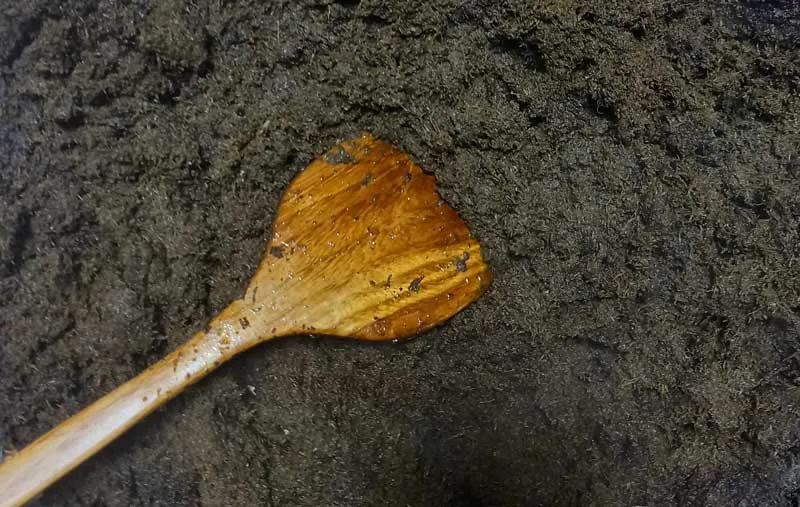 مافین استارباکس