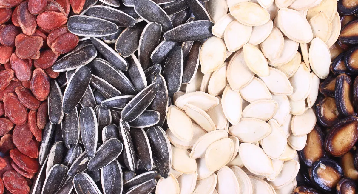 جشن آبانگان