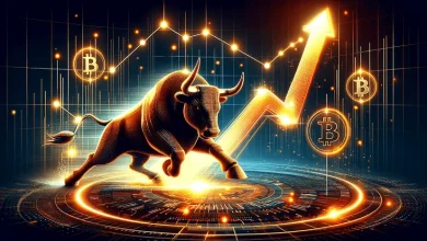 Bitcoin bull run