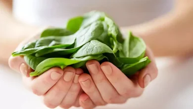 اسفناج در بارداری