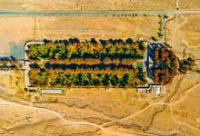 باغ شاهزاده