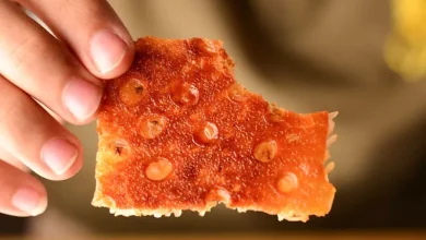 ته دیگ