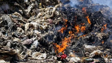 دودی که از سیانور خطرناک‌تر است