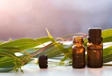 روغن اکالیپتوس