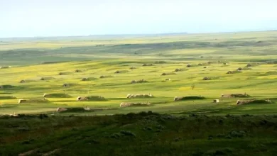سرزمین آخرالزمان