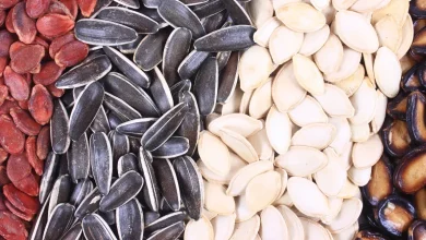 تخمه