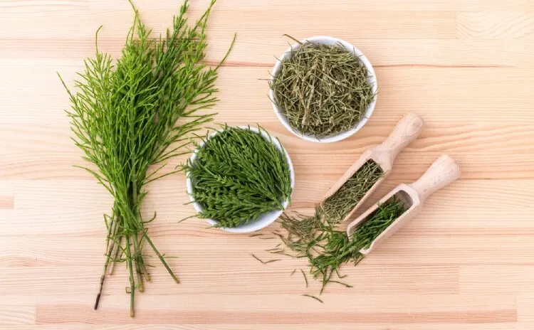 چای