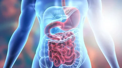 digestive system