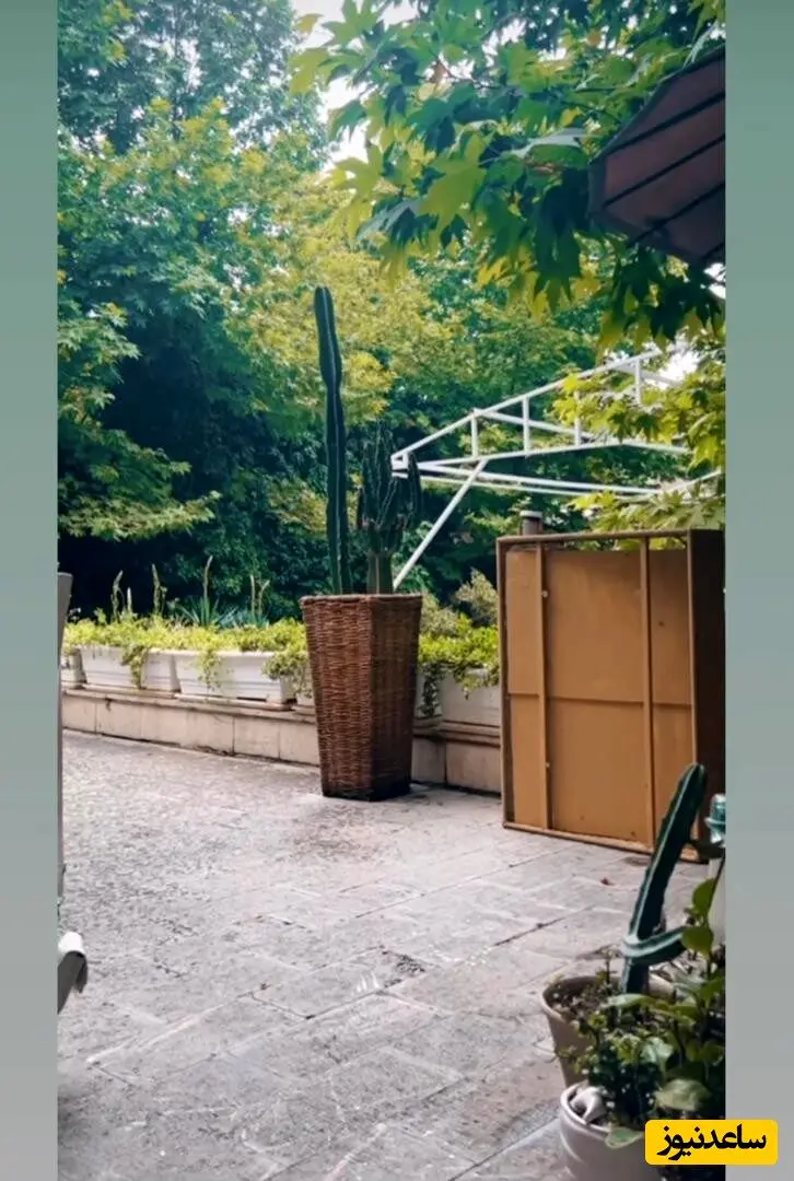 فریبا نادری