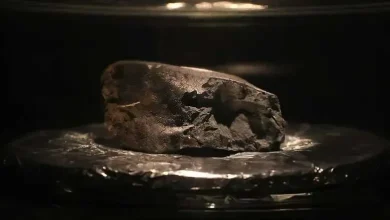 انسان موجودی فرازمینی است