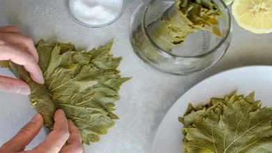 برگ مو