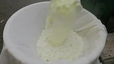 پنیر