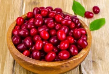 فواید و مضرات زغال اخته