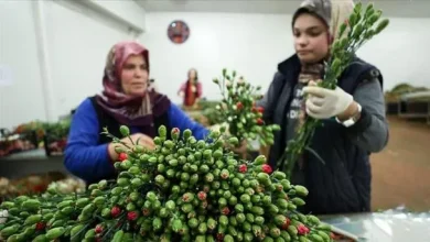 تبریک روز مادر