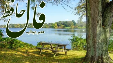 فال حافظ 25 اردیبهشت