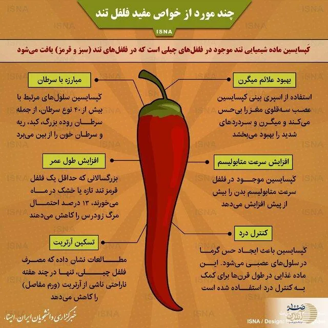 فلفل