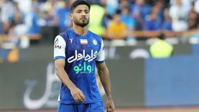 محمد محبی