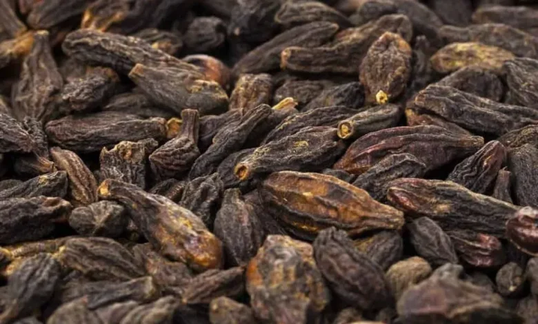خواص هلیله سیاه